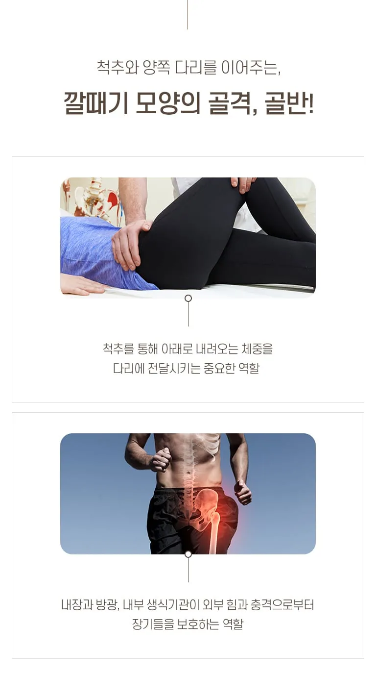 골반의 역할을 설명하는 인포그래픽. 다리 교정 시술 사진과 달리는 사람의 골반 골격 이미지로 체중 전달과 장기 보호 기능을 소개. 척추와 양쪽 다리를 이어주는, 깔때기 모양의 골격, 골반! 척추를 통해 아래로 내려오는 체중을 다리에 전달시키는 중요한 역할 내장과 방광, 내부 생식기관이 외부 힘과 충격으로부터 장기들을 보호하는 역할