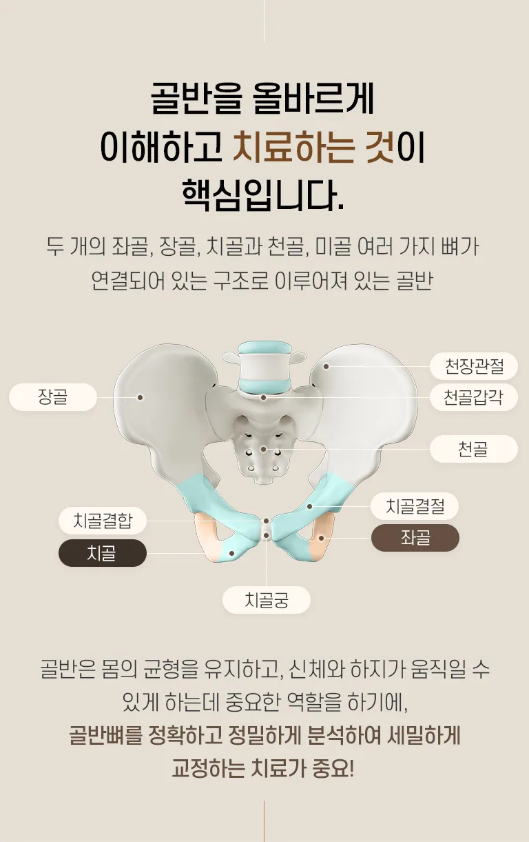 골반을 구성하는 장골·좌골·치골·천골 등 뼈 구조와 천장관절, 관골구 등 부위 명칭을 표시한 골반 해부 인포그래픽. 골반을 올바르게 이해하고 치료하는 것이 핵심입니다. 두 개의 좌골, 장골, 치골과 천골, 미골 여러 가지 뼈가 연결되어 있는 구조로 이루어져 있는 골반 골반 부위 명칭 장골 관골구 치골결합 치골 치골궁 천장관절 천골갑각 천골 치골결절 좌골 골반은 몸의 균형을 유지하고, 신체와 하지가 움직일 수 있게 하는데 중요한 역할을 하기에, 골반뼈를 정확하고 정밀하게 분석하여 세밀하게 교정하는 치료가 중요!