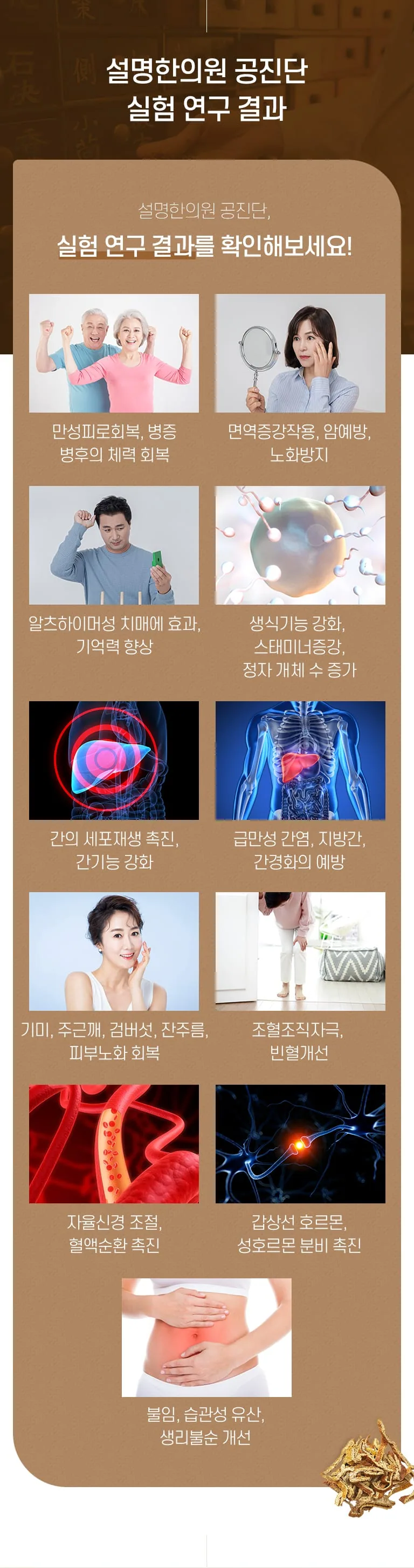 공진단 안내 인포그래픽. 