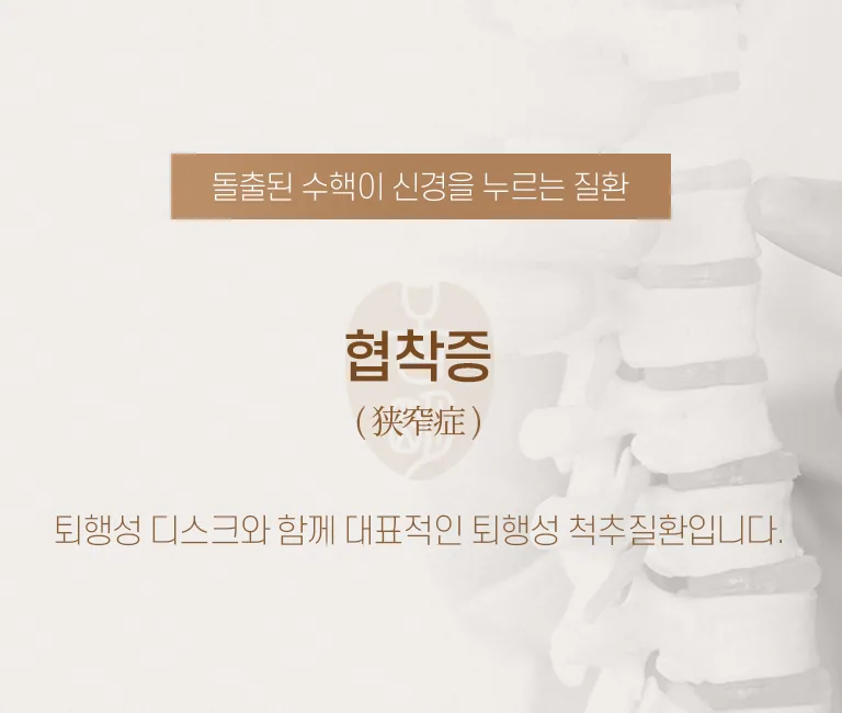 설명한의원 협착증 한방 진료소개 배너로, 척추 모형 사진과 함께 허리·다리 통증 관련 퇴행성 척추질환 안내 문구를 담고 있습니다. 돌출된 수핵이 신경을 누르는 질환 협착증 ( 狭窄症 ) 퇴행성 디스크와 함께 대표적인 퇴행성 척추질환입니다.
